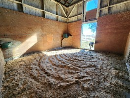 Inside Main Stall