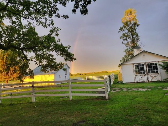 Barn Shot